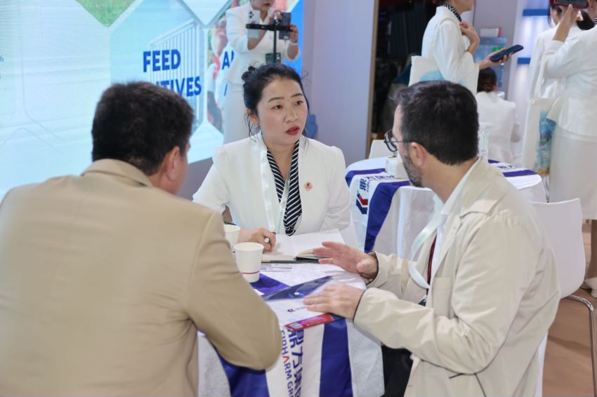 K8¿·¢ÁÁÏàÉϺ£CPHI K8¿·¢ÁÁÏàÉϺ£CPHI